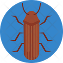 Borer Bug Bugs Icon