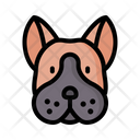 Boston Terrier Dog Animal Icon