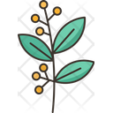 Botanical Plant Icon