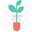 Botany  Icon