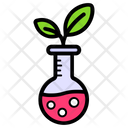 Plant Plant Growth Botanical Research Icon