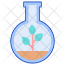 Botany Plant Botanical Research Icon