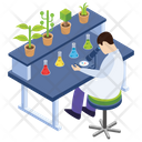 Botany Experiment Icon