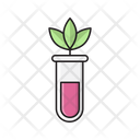 Botany Experiment Icon