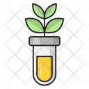 Lab Experiment Growth Icon