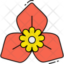 Bougainvillea Flower Icon
