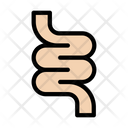 Bowel  Icon