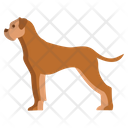Boxer Dog Icon