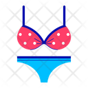 Bra And Penty Icon
