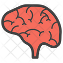 Cerebrum Brain Mind Icon