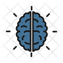 Brain Cranium Human Head Icon
