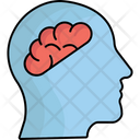 Brain Head Human Brain Icon