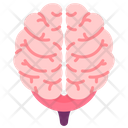 Brain Nervous System Control Icon