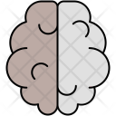 Brain Human Icon