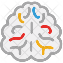 Brain Human Head Icon