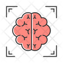 Brain Scan Icon