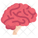 Brain Side Icon