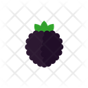 Brambleberry Icon