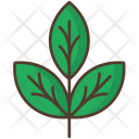 Branch Leafage Nature Icon