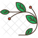Branch Leafage Berries Icon