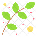 Branch Icon