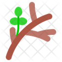 Branch Tree Branch Twig Icon