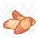 Brazil Nut Icon