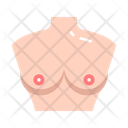 Breast Body Female Icon