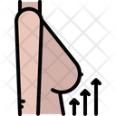 Breast Lift Up Icon