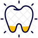 Bright tooth Icon
