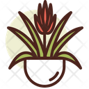 Bromeliad Icon
