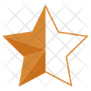 Bronze Half Star  Icon