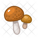 Brown Cap Boletus Mushroom Food Icon