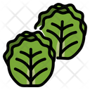Brussel Sprouts Icon