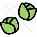 Brussels Sprouts Vegetables Icon