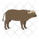 Buffalo Animal Cow Icon