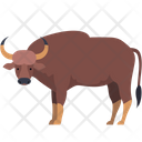 Buffalo Animal Wildlife Icon