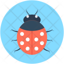 Bug Insect Animal Icon