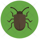 Bug Insect Icon