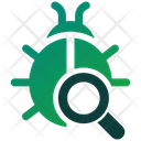 Bug Search Icon