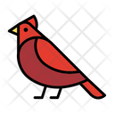 Bulbul Bird Wild Bird Icon
