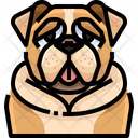 Bull Dog Icon