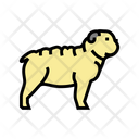 Bulldog British Dog Terrier Icon