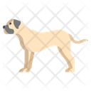 Bullmastiff Bulldog Dog Icon