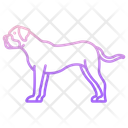 Bullmastiff Bulldog Dog Icon