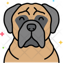Bullmastiff dog  Icon