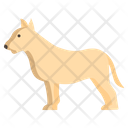 Bullterrier Icon