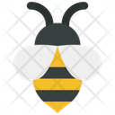 Bumble Bee Spring Icon