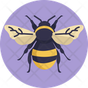 Bumblebee Insect Insects Icon