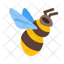 Bumblebee Honey Bee Bee Icon